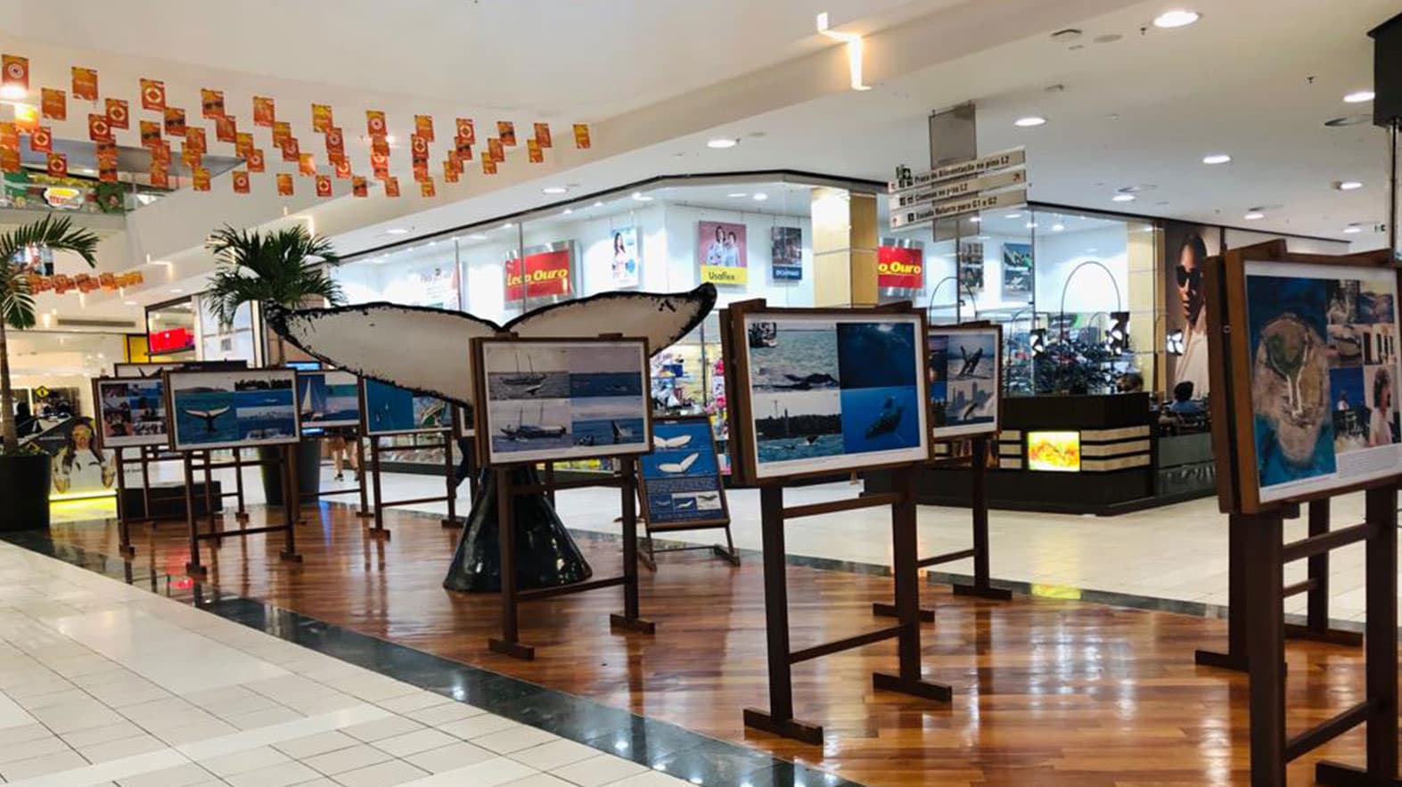 Galeria do shopping 6