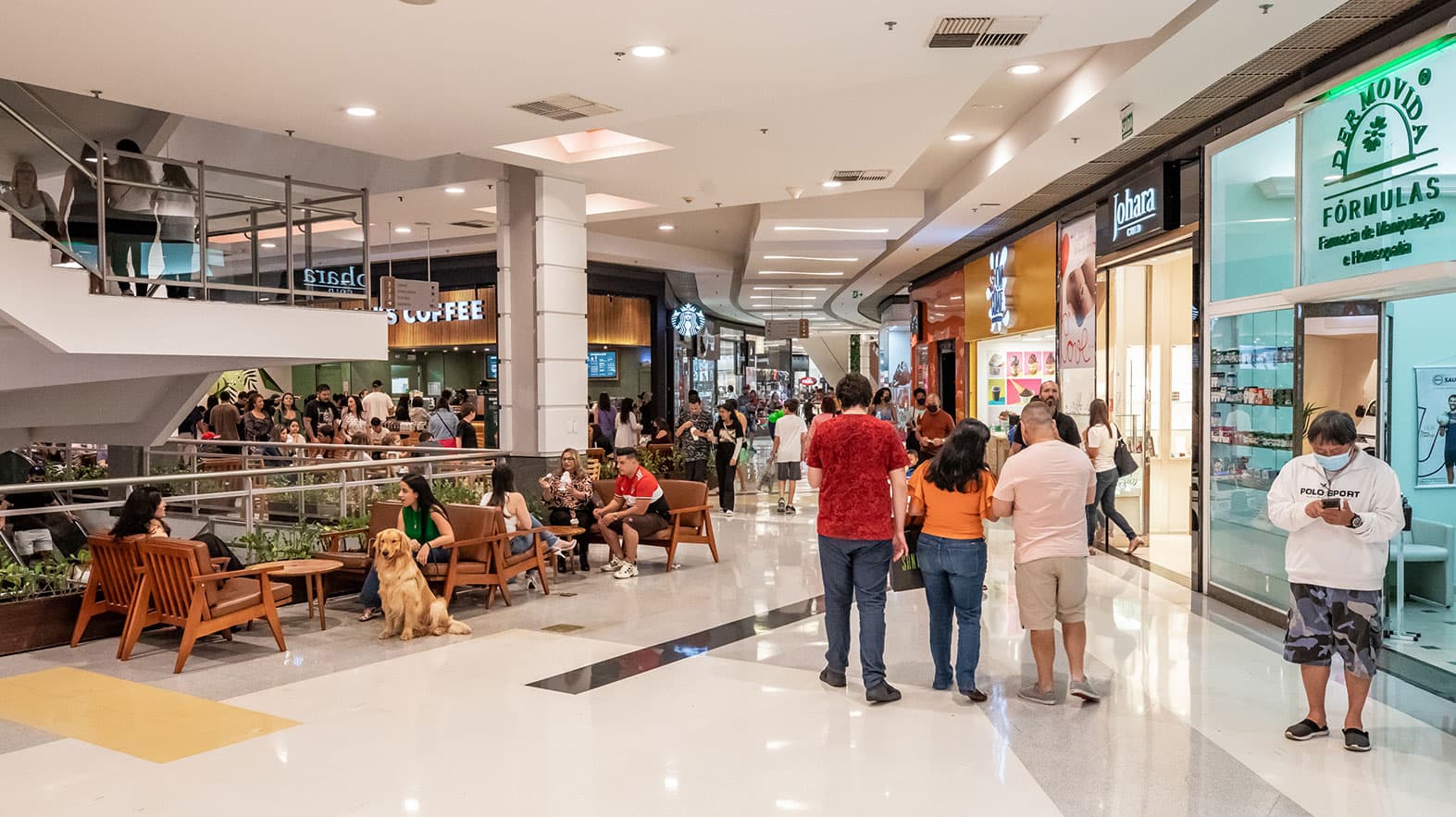 Galeria do shopping 8